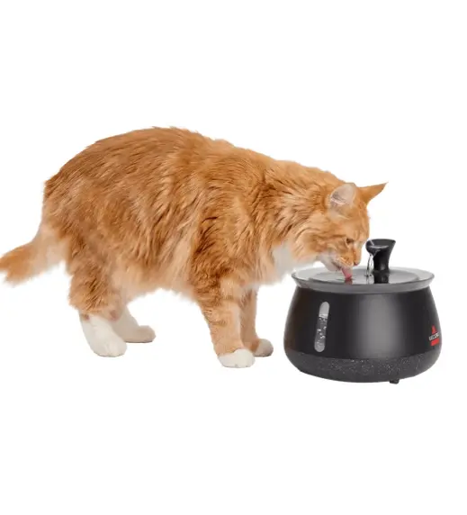 Automatic Water Fountain