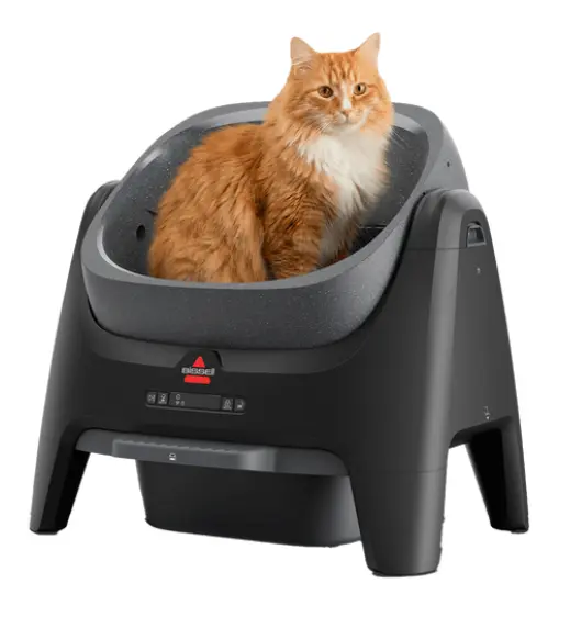 Self Cleaning Litter Box