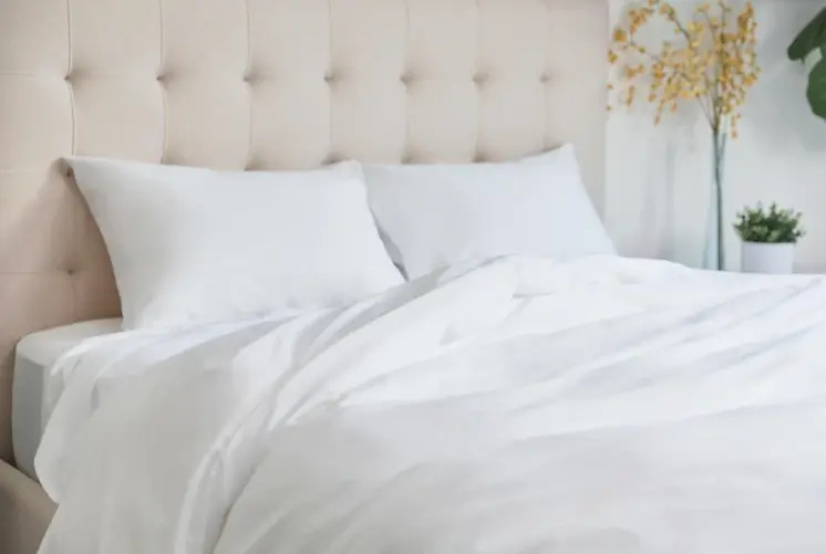 Organic Cotton Sheet Set