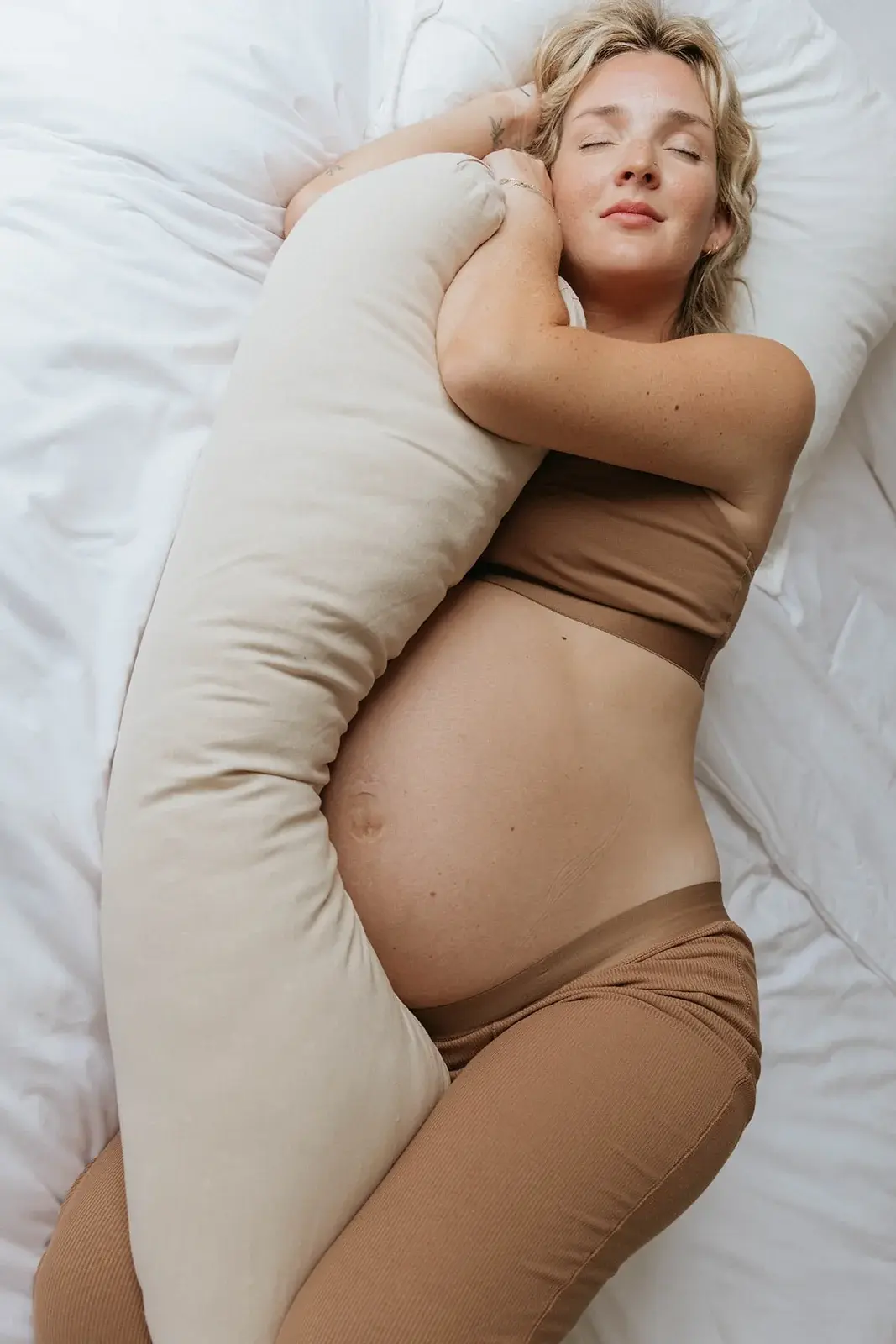 Desert Lark - Pregnancy Pillow Cover