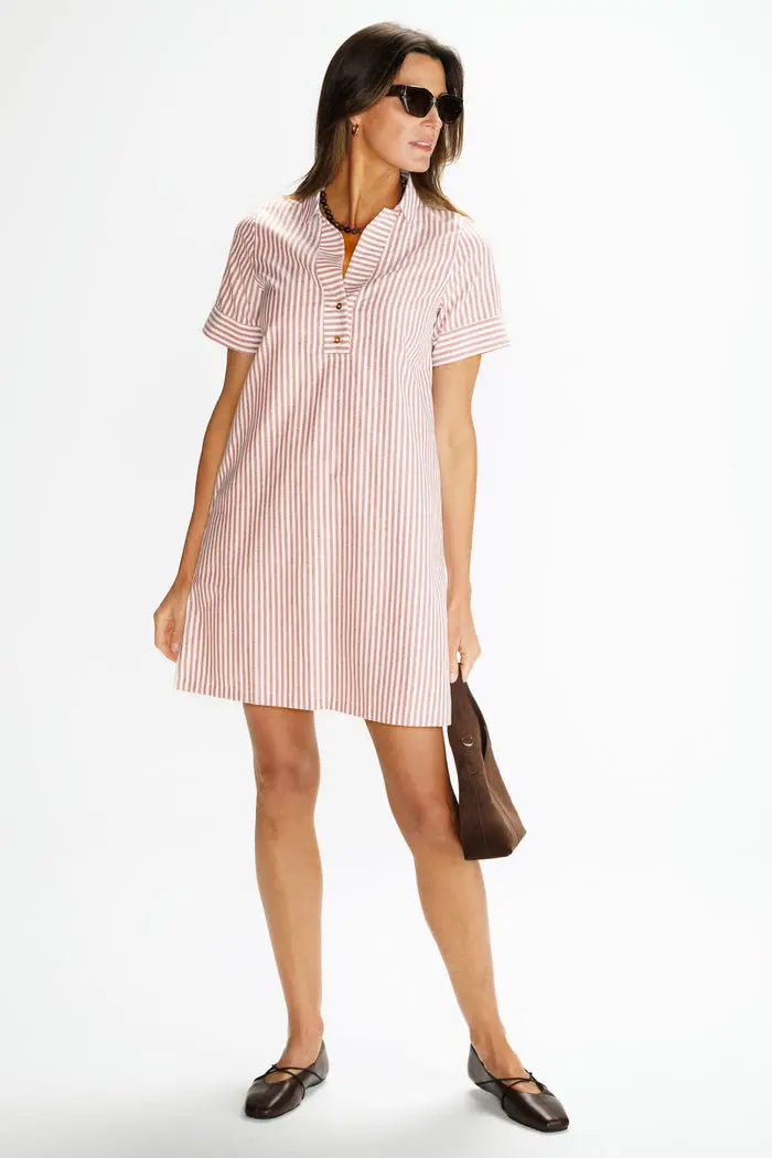 Banks Dress in Auburn Oxford Stripe