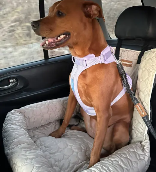 ComfyCool Cooling Car Bed
