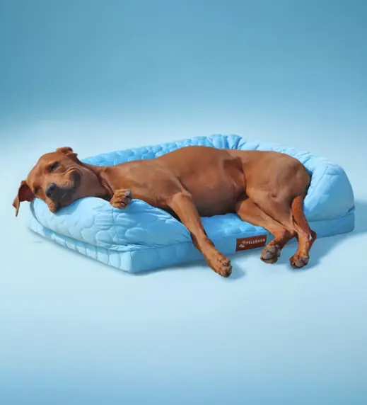 Orthopedic Cooling Dog Bed