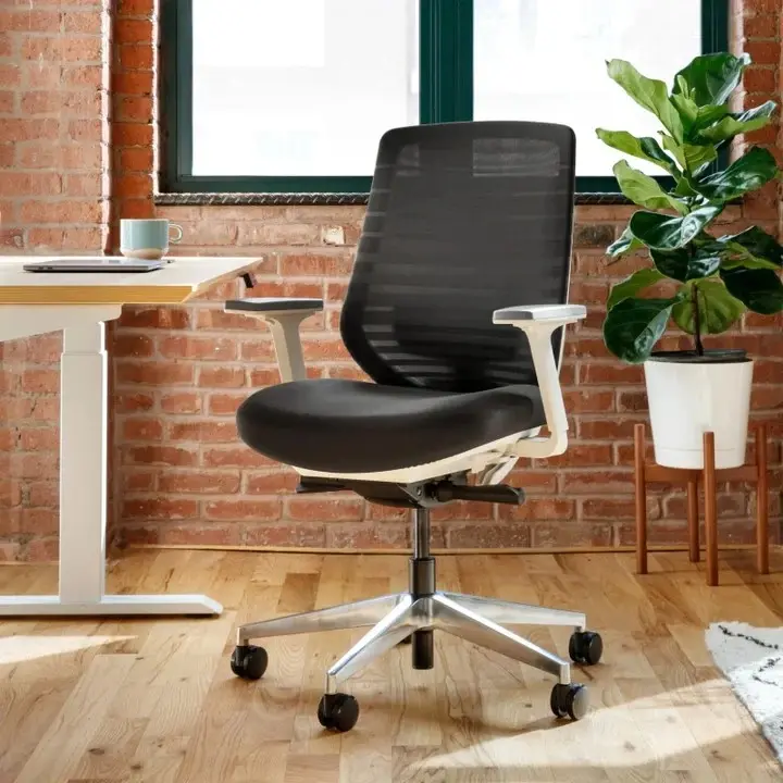 Standard Ergonomic Chair
