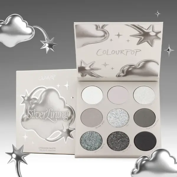 9 Pan Palette Silver Lining