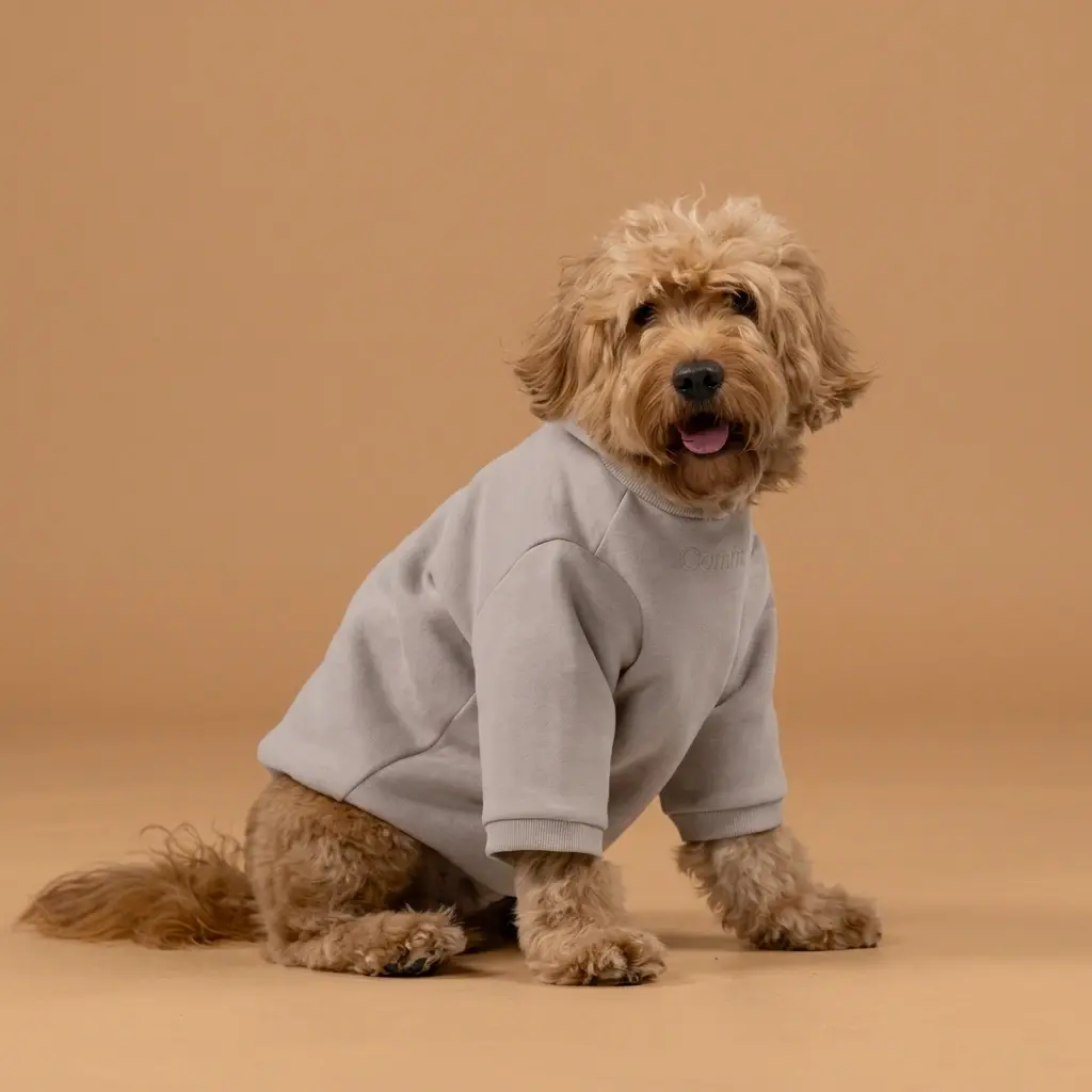 Signature Paw Hoodie
