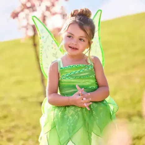 Tinker Bell Costume For Kids – Peter Pan