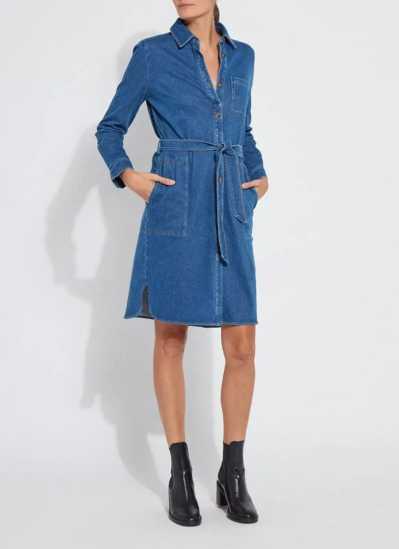 Knit Denim Schiffer Dress